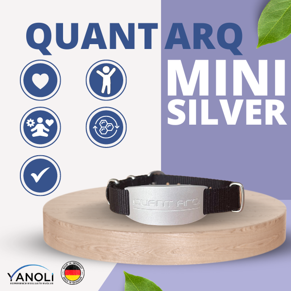 QUANT ARQ MINI Silver*